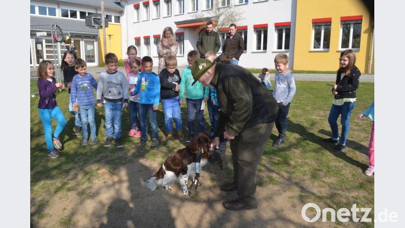 Noch apportiert Zula fleißig. Lieber wird sie aber gestreichelt. Bild: fz