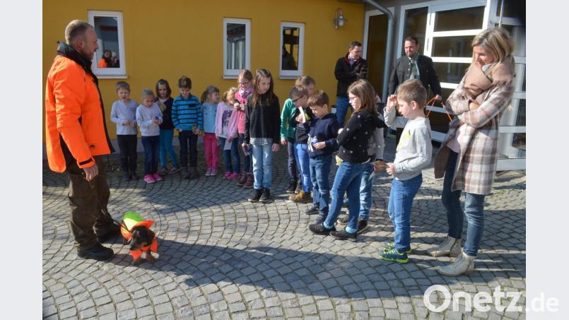 Dackel Rudi geht mit Warnweste und Funk auf die Jagd. Bild: fz