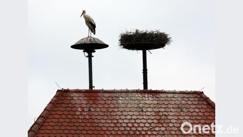 Der Storch in Klardorf kann am Donnerstag beruhigt sitzen bleiben. Die Sirene im Schwandorfer Ortsteil bleibt am Donnerstag still. Archivbild: Gerhard Götz