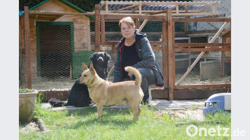 Claudia Biersack und ihre beiden Hunde vor dem leeren Gehege: Von den zehn früheren Bewohnern - kleinen Hasen - fehlt jede Spur. Bild: Gabi Schönberger