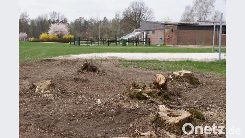 Sturmschäden im Naturerlebnisbad. Bild: bkr