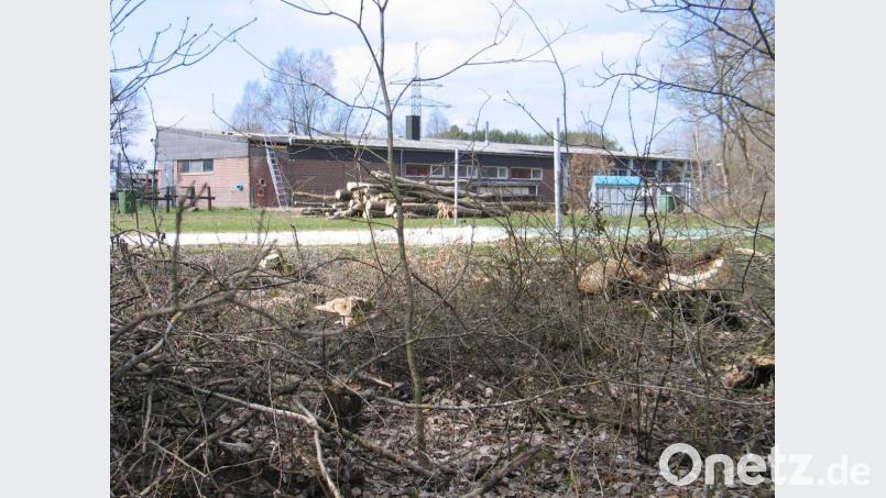 Sturmschäden im Naturerlebnisbad. Bild: bkr