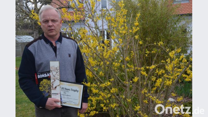 Frank Jesse vor einem blühenden Forsythienstrauch mit seinen Auszeichnungen. Auf dem Titelbild der Fachzeitschrift &quot;Bonsai Art&quot; ist seine prämierte Forsythie zu sehen. Bild: Kunz