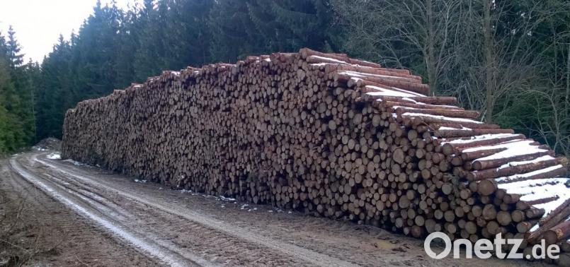 Während im Stadtwald Schönsee im Jahr 2018 der Hiebsatz erfüllt wurde, ist aufgrund des niedrigen Holzpreises für 2019 kein regulärer Holzeinschlag mehr geplant. Förster Markus Forster wies bei der Stadtratssitzung außerdem auf Berge von Schadholz, aufgrund Schneebruch und Frühjahrsstürmen hin. Bild: Michael Forster