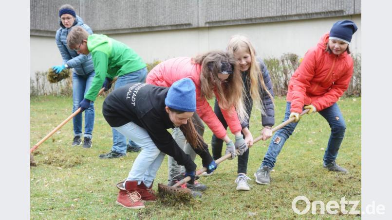 Hier soll eine Blumenwiese entstehen: Schüler des Gymnasiums Neustadt entmoosen am Umweltaktionstag zusammen den Rasen. Bild: Gabi Schönberger