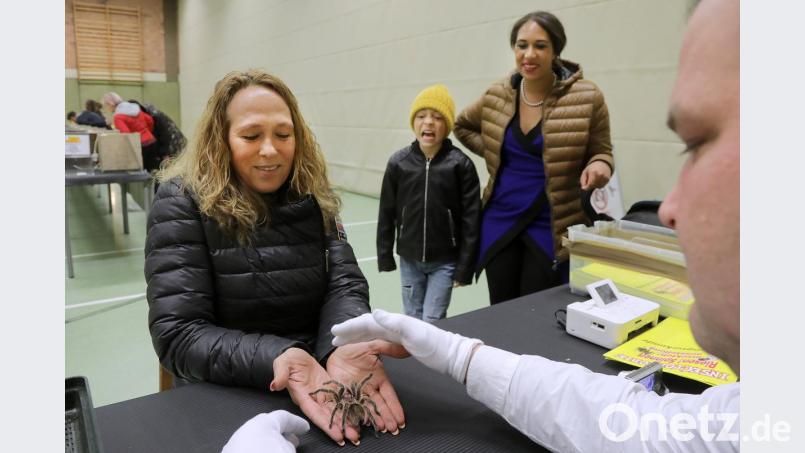 Eine Spinnen- und Insekten-Ausstellung gastierte am Sonntag in Amberg. Bild: Wolfgang Steinbacher