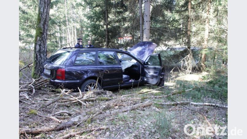 Der Audi landete nach dem Unfall in einem Wald. Bild: jma