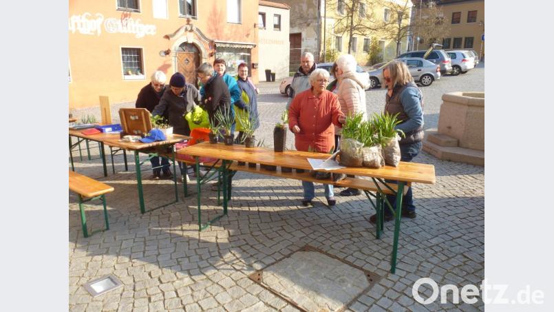 Die Aktion hat sich mittlerweile zu einer traditionellen alljährlichen Einrichtung entwickelt und findet viel Anklang. Bild: mad