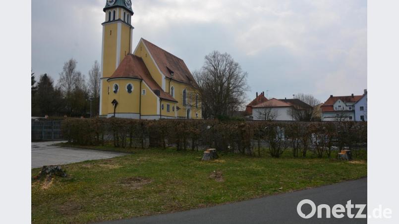 Bis vor kurzem standen in diesem Bereich sieben Birken. Bild: jr