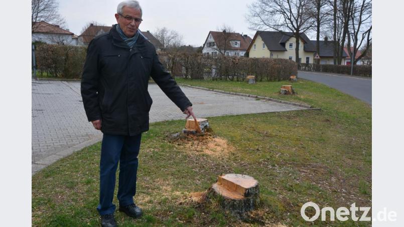 Der frühere Gemeinderat Wolfgang Stamm kritisiert das Fällen von sieben Birken beim Pechbrunner Friedhof und fordert eine Neuanpflanzung. Bild: jr