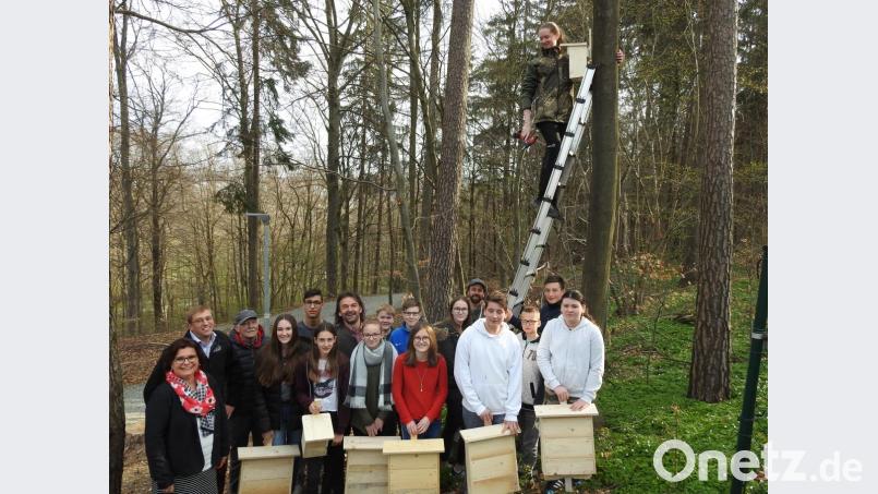 Gemeinsam mit dem Oberpfälzer Waldverein hängen die Schüler Vogel- und Fledermaushäuschen auf. Bild: exb
