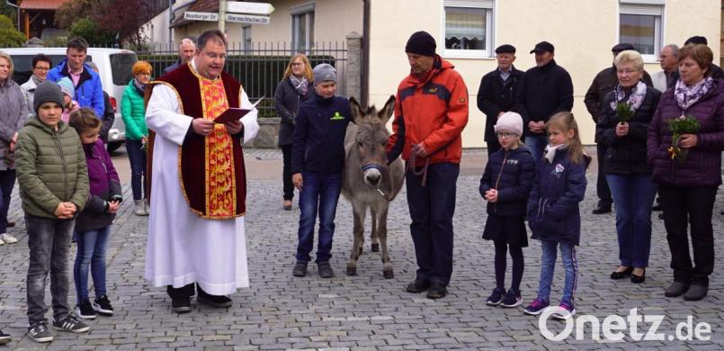 Pfarrer Urban segnete die Palmbuschen. Der Kirchenzug mit Esel soll an den Einzug Jesus in Jerusalem erinnern. Bild: weu