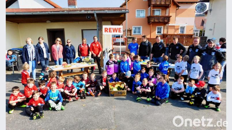 Von links nach rechts: Julia Wisnewski, Silvia Busch, Sabine Paez, Nicole Kottwitz (Eltern G-Jugend TSV), Elfi Veigl, Udo Reichelt (ASV Haidenaab), Tobias Lerner, Florian Keller, Christian Kausler, Dani Peetz (SV Seybothenreuth), Thomas Schneider, Marco Böhner (SV Weidenberg) Bild: hai