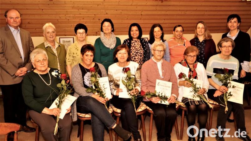 Wolfgang Weber und Edeltraud Wang (stehend von links) gratulieren den Geehrten. Monika Kost, Daniela Grundl, Maria Naber, Anni Kraus, Renate Bernklau und Elisabeth Heinerich (sitzende von links). FU-Kreisvorsitzende Tanja Schiffmann (rechts) überreicht die Urkunden. Stehend die Vorstandschaft. Bild: arw