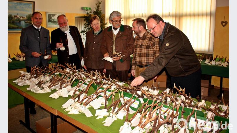 In der Hegeschau in Mantel werden die Hirschgeweihe und Rehgehörne genau begutachtet. Bild: R. Kreuzer