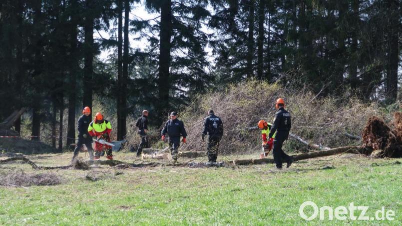 Sucharbeiten nahe Waldkirch Bild: Würth, Wolfgang