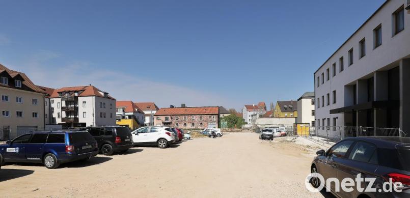 Derzeit ist das Bürgerspitalgelände eher ein Paradies für Insekten. Das wird wohl noch eine Weile so bleiben. Denn bei Ten Brinke laufen noch immer die Planungen für das Bauprojekt an dieser Stelle. Bild: Wolfgang Steinbacher