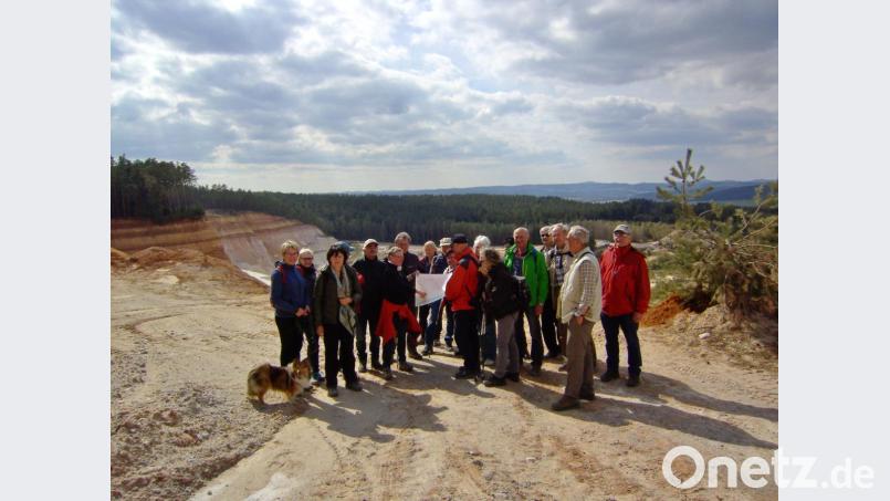 Geologin Angela Wirsing (Sechste von links) nimmt die Wanderer mit auf eine geologische Spurensuche durch die bewegte Erdgeschichte bei Großschönbrunn. Bild: rha