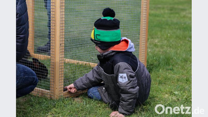 Die Anwohner haben selbst angepackt und ihren &quot;Lauserbühl-Spielplatz&quot; wieder auf Vordermann gebracht. Viele Kinder kamen zur Osterhasen-Aktion der Spielplatzvereinigung und nahmen die instand gesetzten Spielgeräte in Beschlag. Bild: rw