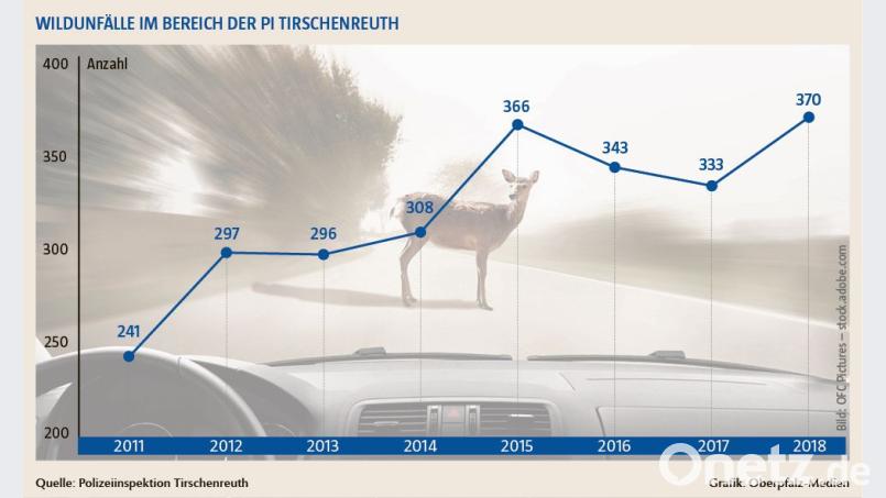 2018 kam es zu 370 Wildunfällen im Bereich der PI Tirschenreuth. Bild: Oberpfalz-Medien