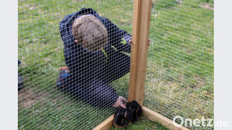 Die Anwohner haben selbst angepackt und ihren &quot;Lauserbühl-Spielplatz&quot; wieder auf Vordermann gebracht. Viele Kinder kamen zur Osterhasen-Aktion der Spielplatzvereinigung und nahmen die instand gesetzten Spielgeräte in Beschlag. Bild: rw
