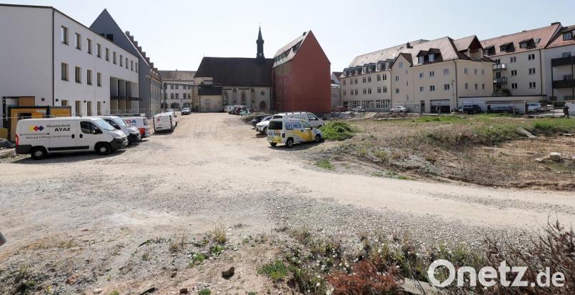 Derzeit ist das Bürgerspitalgelände eher ein Paradies für Insekten. Das wird wohl noch eine Weile so bleiben. Denn bei Ten Brinke laufen noch immer die Planungen für das Bauprojekt an dieser Stelle. Bild: Wolfgang Steinbacher