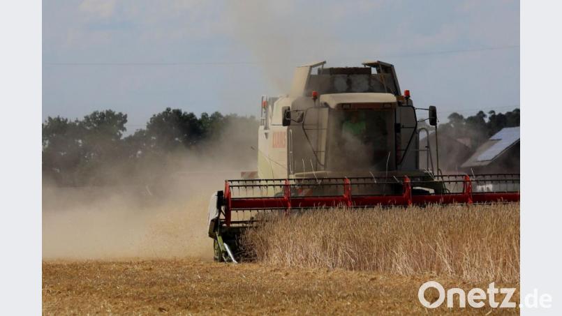 Getreideernte bei Schwarzenfeld. Bild: Gerhard Götz