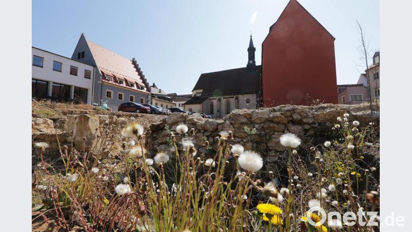 Derzeit ist das Bürgerspitalgelände eher ein Paradies für Insekten. Das wird wohl noch eine Weile so bleiben. Denn bei Ten Brinke laufen noch immer die Planungen für das Bauprojekt an dieser Stelle. Bild: Wolfgang Steinbacher