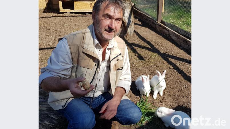 Manfred Urban vom Tierpark Gleitsbachtal in Irchenrieth zeigt ein mit Baum, Wiese und Blumen bemaltes Ei. Geliefert hat es nicht einer seiner Hasen, sondern eines seiner Seidenhühner. Bild: Sonja Kaute