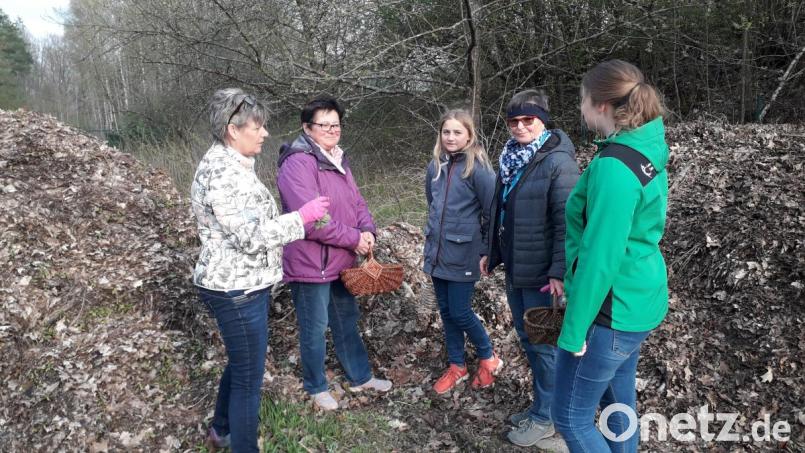 Gisela Klier mit Teilnehmern der Kräuterwanderung Bild: exb