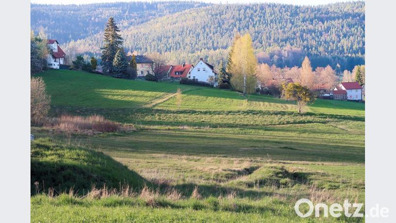 Die Gemeinde Friedenfels möchte am Blaslberg (vor der Häuserreihe) Bauland schaffen. Bild: bsc