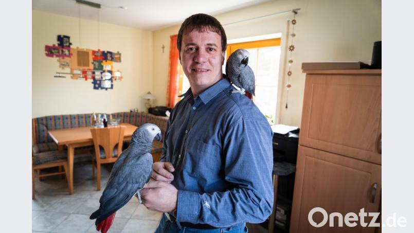 Von Martin Schmidts Schulter aus genießt „Kiki“ den Ausblick. „Picasso“ hat es sich auf seiner Hand gemütlich gemacht. Bild: gld