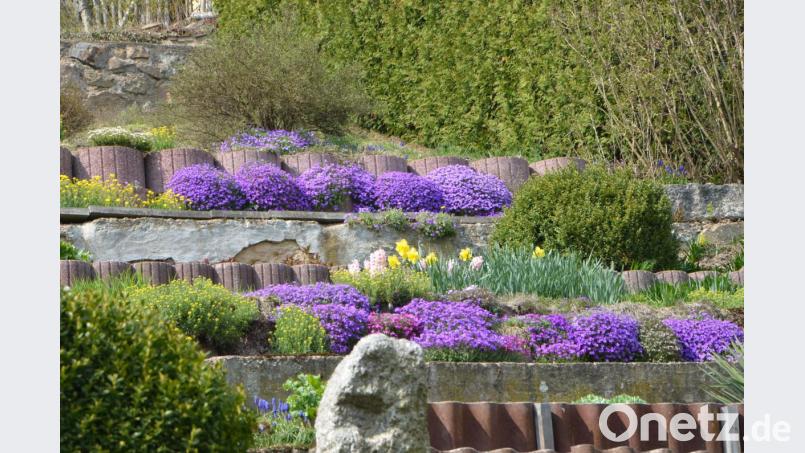 Blaukissentreppe. Bild: dob