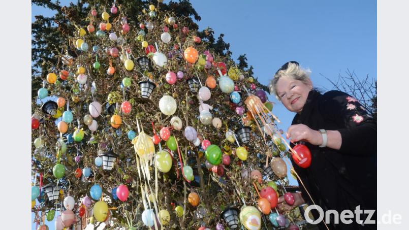 Ei, Ei, Ei - und ein jedes hat seinen Platz am Haselnussstrauch von Christina Kreuzer. Und so entsteht rund um Ostern ein echter Hingucker in Floß. Bild: Gabi Schönberger