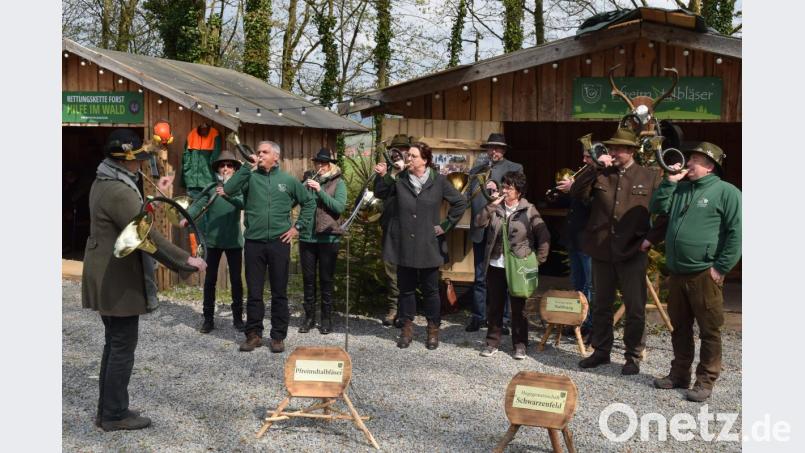 Bei den "Pfreimdtalbläsern" durften auch die Besucher ins Horn stoßen. Bild: bnr