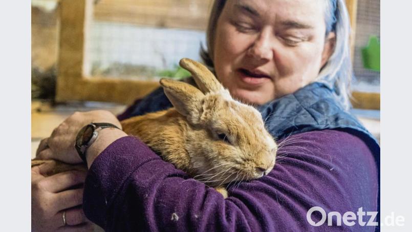 Als könnte er kein Wässerchen trüben: „Hänsel“ auf dem Arm von Jeanette Medack. Bild: gld
