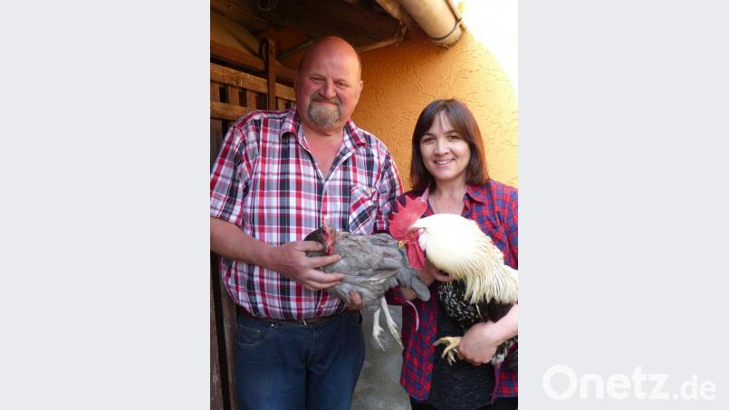 Hans Gruber besitzt unter anderem Grünleger. Svetlana, die Grubers Vater pflegt, mag die Tiere. Auch in ihrer Familie in Moldawien werden Hühner gehalten. Bild: cv