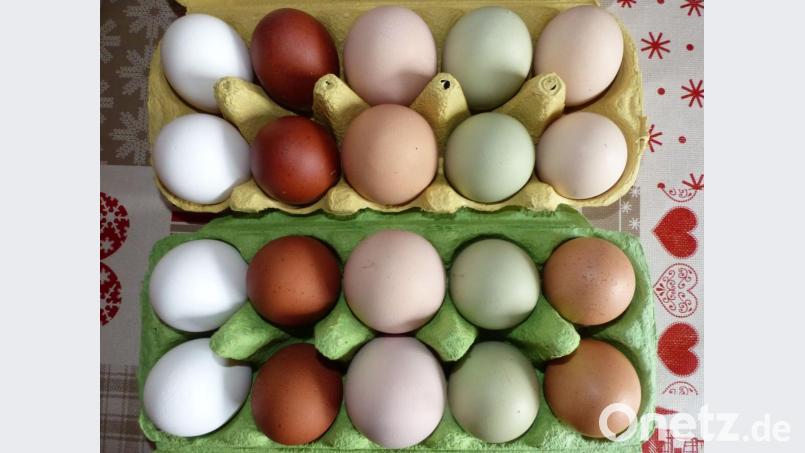 Wie wäre es mit schokobraunen Marans-, grünen Auracana-Eiern oder zart-beigen Eiern vom schwedischen Blumenhuhn? Bei dieser Palette könnten eigentlich die Färbemittel in der Tüte bleiben. Bild: cv
