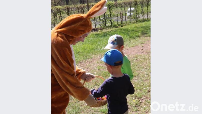 Lieber Osterhase, hast Du noch ein Ei für uns! Bild: mfh