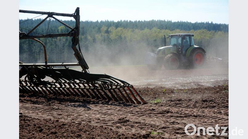 Vor allem die Bauern haben mit der Trockenheit in der Oberpfalz zu kämpfen. Die Felder wie hier in Pirk sind komplett ausgetrocknet. Bild: Gabi Schönberger