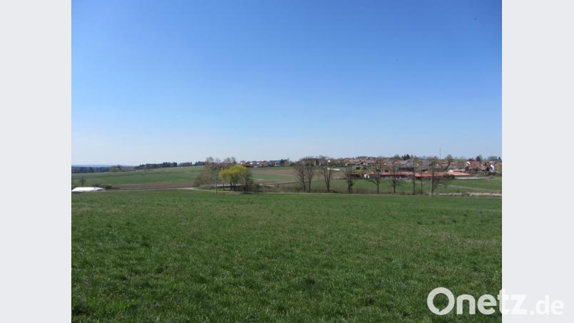Auf diesem Areal - hier der Blick auf Thansüß - soll die Photovoltaik-Anlage entstehen, begrenzt von der Baumreihe an der Bahnlinie zwischen Weiden und Neukirchen. Bild: usc
