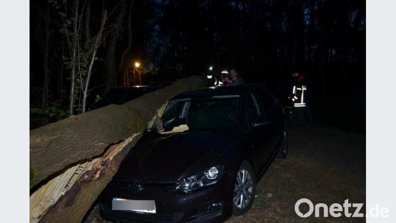Ein starker Eschenbaum krachte auf dem Parkplatz bei der Zufahrt zum Schützenhaus Roggenstein während einer Theaterauffühung auf parkende Fahrzeuge. Zwei Fahrzeuge bleiben mit Totalschaden zurück. Bild: dob
