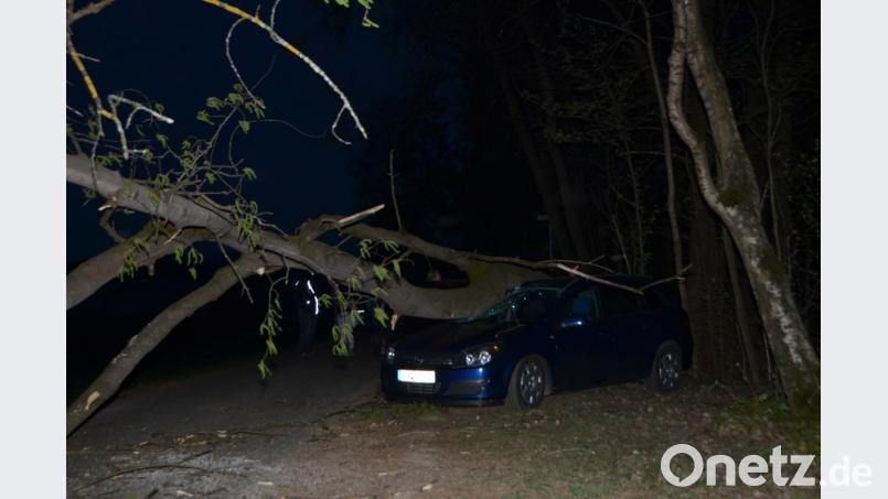 Ein starker Eschenbaum krachte auf dem Parkplatz bei der Zufahrt zum Schützenhaus Roggenstein während einer Theaterauffühung auf parkende Fahrzeuge. Zwei Fahrzeuge bleiben mit Totalschaden zurück. Bild: dob