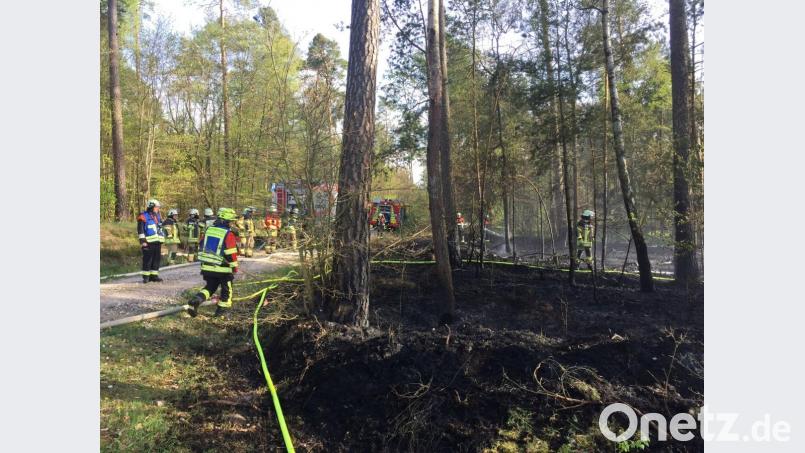 Der Brand von 10 000 Quadratmetern Waldboden und Unterholz an der Loisnitzer Straße bei Katzdorf wurde durch mehrere Feuerwehren aus Schwandorf und Umgebung gelöscht. Bild: exb/THW Schwandorf