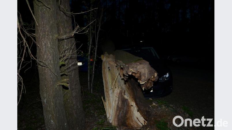 Ein starker Eschenbaum krachte auf dem Parkplatz bei der Zufahrt zum Schützenhaus Roggenstein während einer Theaterauffühung auf parkende Fahrzeuge. Zwei Fahrzeuge bleiben mit Totalschaden zurück. Bild: dob