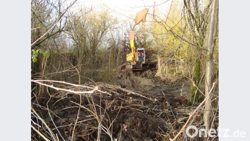 Der Kemnathöder Weiher wurde im November ausgebaggert, von Unrat befreit und wieder in seinen natürlichen Zustand versetzt. Nun kann sich der Weiher wieder von selbst renaturieren. Bild: schß