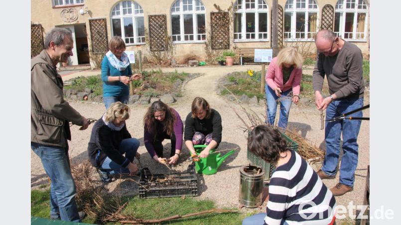Obstbaum- und Heckenabfälle werden von den Teilnehmern zusammengeschnitten, ehe sie zu Holzkohle verwandelt werden. Links der Leiter dieses Workshops, Erwin Strama. Bild: kro