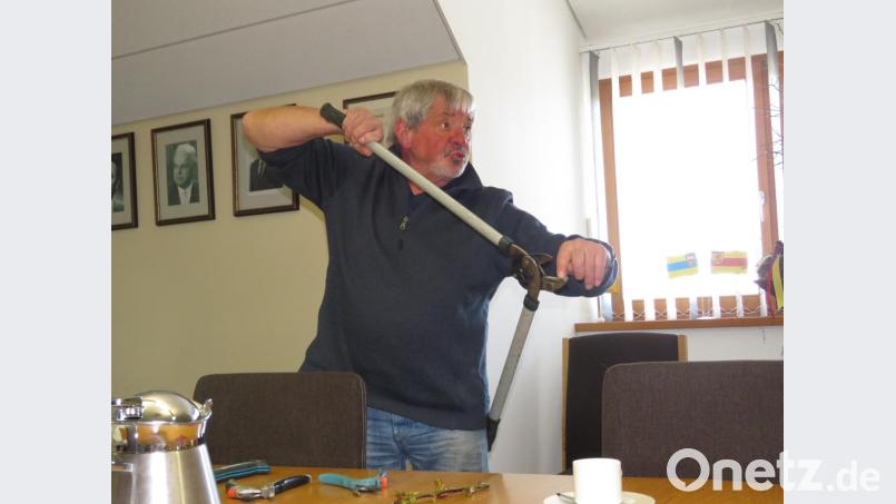 Nicht jede Gartenschere sei eine gute Schere, sagte Andern und erklärte die Technik. Bild: ubb