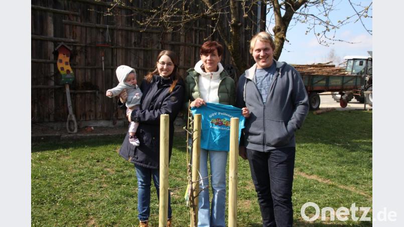 Die Vorsitzende des GOV Pullenried, Annegret Donhauser (Mitte), übergab an die Eltern Magdalena und Johannes Irlbacher den Apfelbaum und hatte für die kleine Paula (links) ein Vereins-T-Shirt dabei. Bild: frd