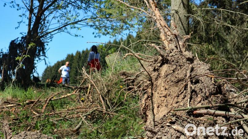 Wald und Äcker sind staubtrocken. Daher appelliert die Feuerwehr, dass auch Spaziergänger achtsam unterwegs sind. Vor allem dürfen keine Glasflaschen oder Scherben zurückgelassen werden. Bild: spw